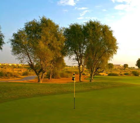 Built as a true desert-style grass course, players love the natural flow of the holes through the sand dunes and wonderful desert landscape.