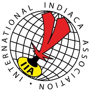 INTERNATIONAL INDIACA ASSOCIATION (IIA) BASIC INDIACA S (BIR)