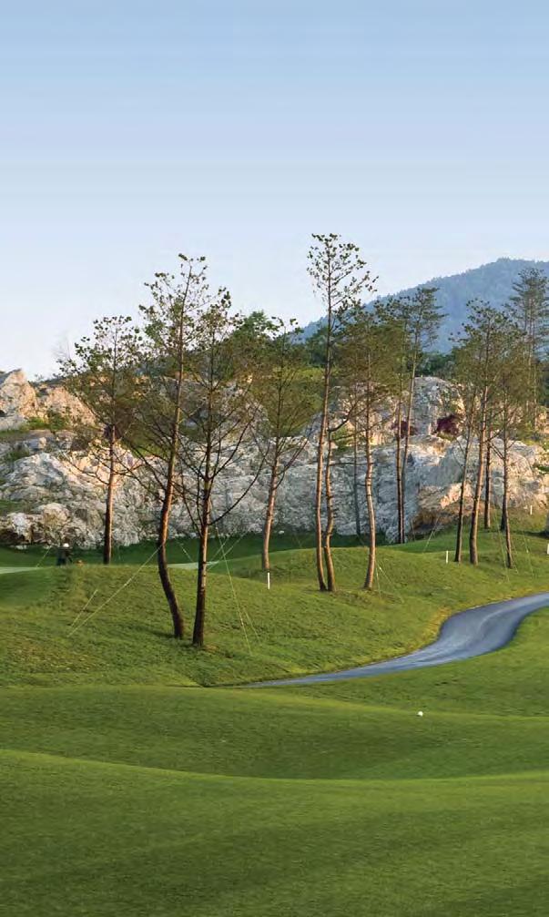 What We Do Amongst many others, International Golf Design offers the following services: Golf Course Architecture from concept masterplanning to detailed drawing packages.