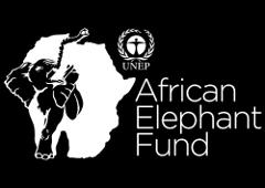 Proposal to the African Elephant Fund 1.1 Country: Zambia 1.2 Project Title: Strengthening law enforcement capacity to combat illegal killing of elephants in Zambia 1.