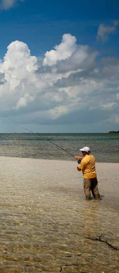 another opportunity is available, ask away! If you have been tarpon fishing for 3 hours without a bite and you feel like you need a tug desperately, ask to go catch a bonefish!