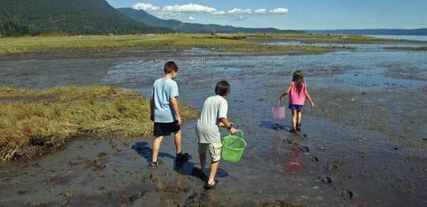 Families flock to the beaches to relax, gather shellfish, kayak, play in the tide