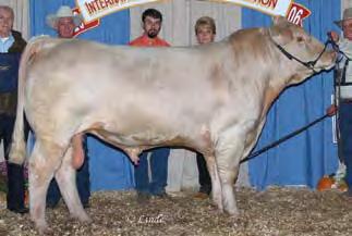 1 42 Years of Breeding Charolais One of the Northeast s largest Charolais cow herd Enrolled in AICA Whole Herd Rewards GCR