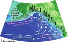 background The region is bounded on the east and north by tall, rugged coastal mountains that are separated by a continental shelf from abyssal depths in excess of 3000 m in the eastern Gulf of