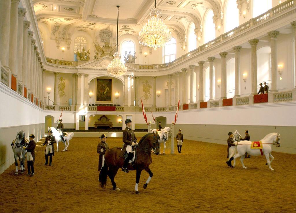 or a fully trained school stallion) of the Spanish Riding School. The selected young stallions start their education in Vienna at the age of four.