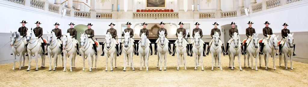 The riders of the Spanish Riding School present the results of this century old expertise to millions of interested spectators from all over the world.
