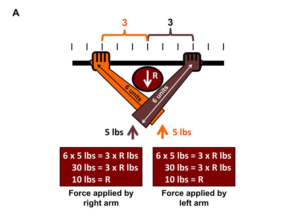 opponent s to 1.5 units. Finally, if you move your right hand to the back end of the hanbo, your mechanical advantage increases to 4.7 (Figure 8C).