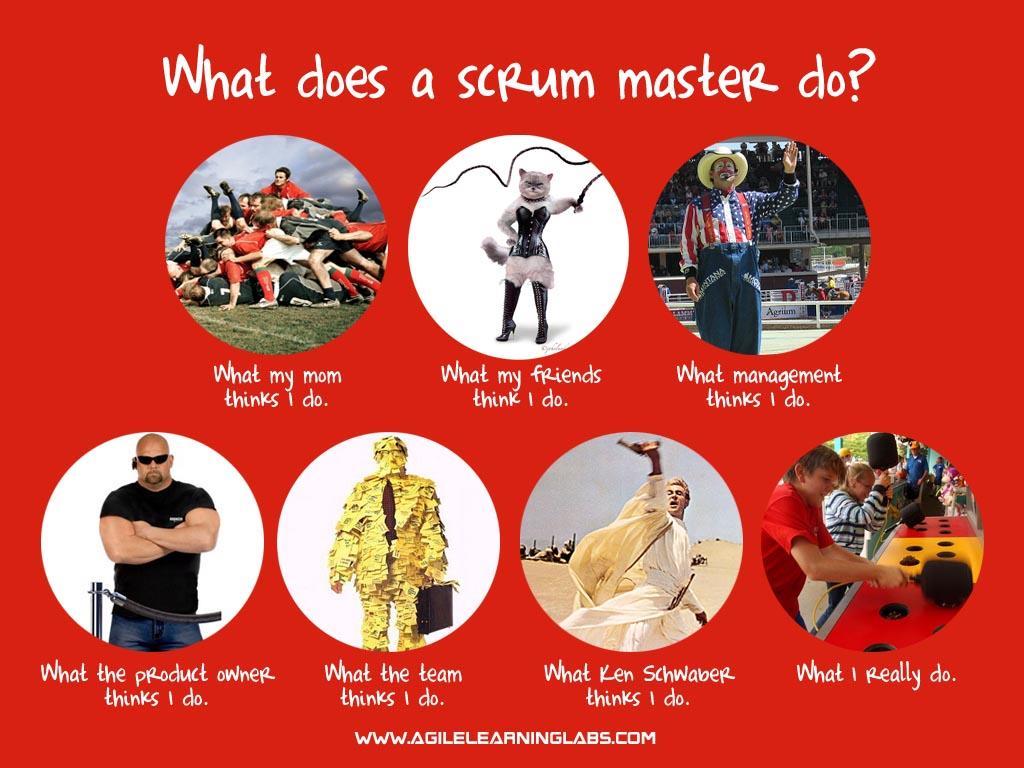 What Scrum Masters do Image: Agile Learning Labs http://www.