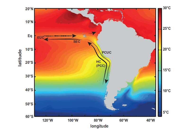 Figure 10. Sea-surface temperature in the Humboldt Current ( o C) Primary productivity varies between 150-300 gcm -2 yr -1 driven by the upwelling system and interrupted by El Nino events.