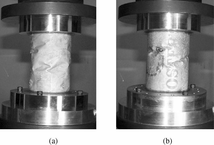 26 R.J.P. BARKER AND S.D. GUEST Figure 7. Result of axial buckling tests: (a) a previously folded-andinflated cylinder; (b) a previously virgin cylinder. 4.