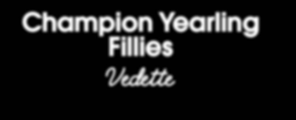 Champion Yearling Fillies Vedette