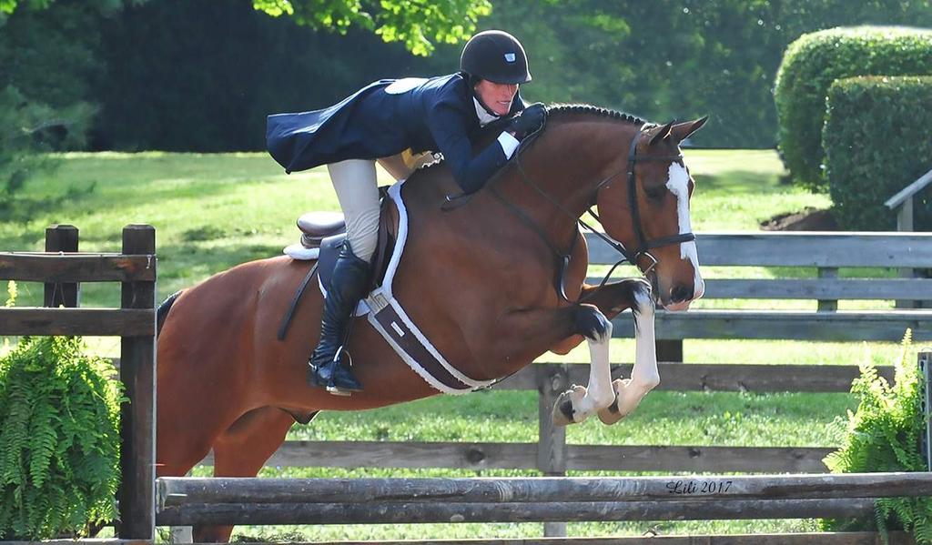 Brownland Farm Hunter Derby Series Returns For 2018! The $25,000 Hunter Derby Finals are taking place Friday morning, October 26, 2018 during Brownland Farm Autumn Classic.