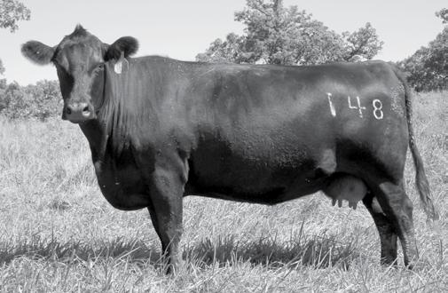 6 7 CARSTENS FARMS, LTD. MYERS CORNERSTONE M233 A son sells as Lot 6. Females will sell carrying his service.