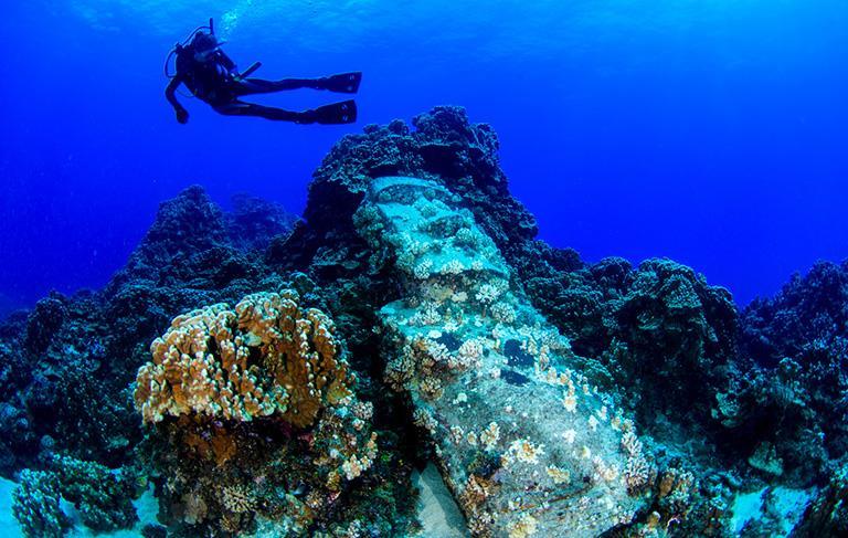 Easter Island s Reefs: A Harbinger of What s to Come? Discover Magazine Dec. 5, 2016 The tiny island's reefs have barely been studied, but they may give us a glimpse of the ocean's future.