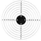 Another exciting target is the ever popular metal silhouette sized for air guns and fired at reduced distances.
