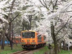 Festival Hirosaki May 5 弘前さくらまつり April