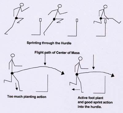 PUTTING IT ALL TOGETHER The Start Lead leg should always be in the back block. Head should be down(neutral position) not looking down the track or at the first hurdles.