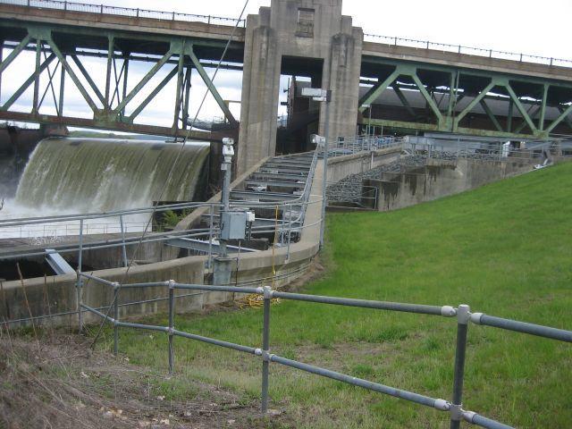 SALMON Indigenously extinct from CT and other parts of New England since 1800 s Turners Falls Dam in MA constructed in 1800 -last spawning ran
