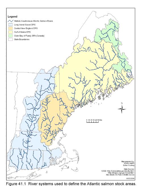 SALMON POPULATION CT River watershed council -since 1967 returns avg.