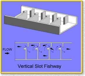 TYPES OF FISH LADDERS Vertical slot Cross between pool and weir and denil ladders Step system with