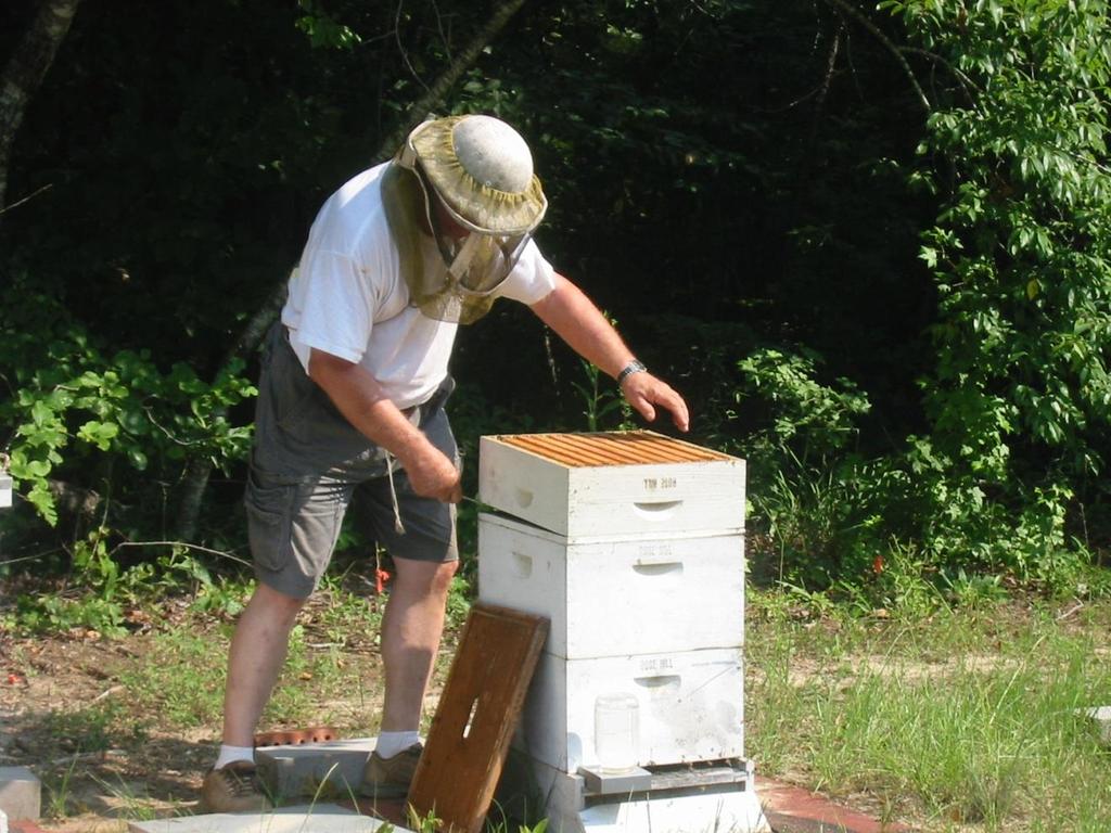 PROPER SUMMERTIME BEEKEEPING ATTIRE Don t forget