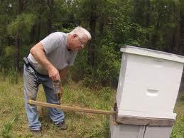 HEFTING A HIVE How does the weight compare to other hives? A scale is helpful but not necessary.