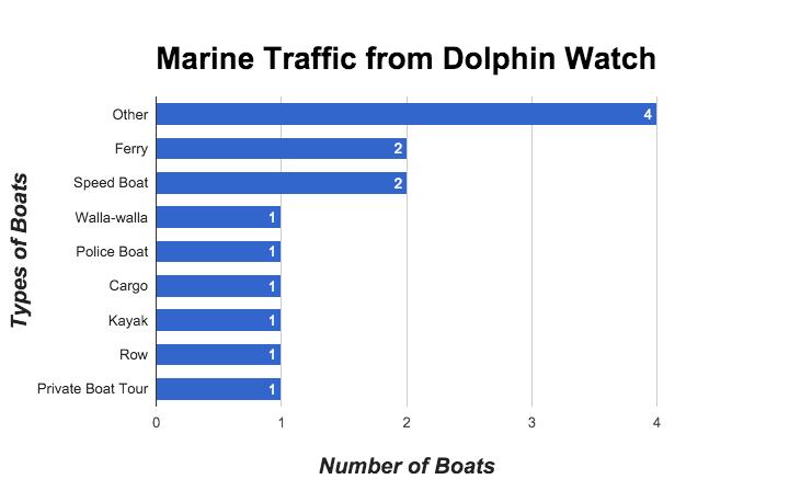 Based on our direct observations during the dolphin watch tour, we noted the various types of vessels that were in the CWD habitat near Tai O (see Appendix G5).