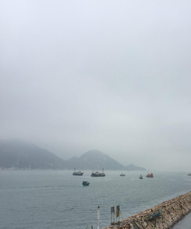 Figure 31: View from Sai Wan Tin Hau Observation point There were a total of 144 marine vessels that passed through the area during the observation period.