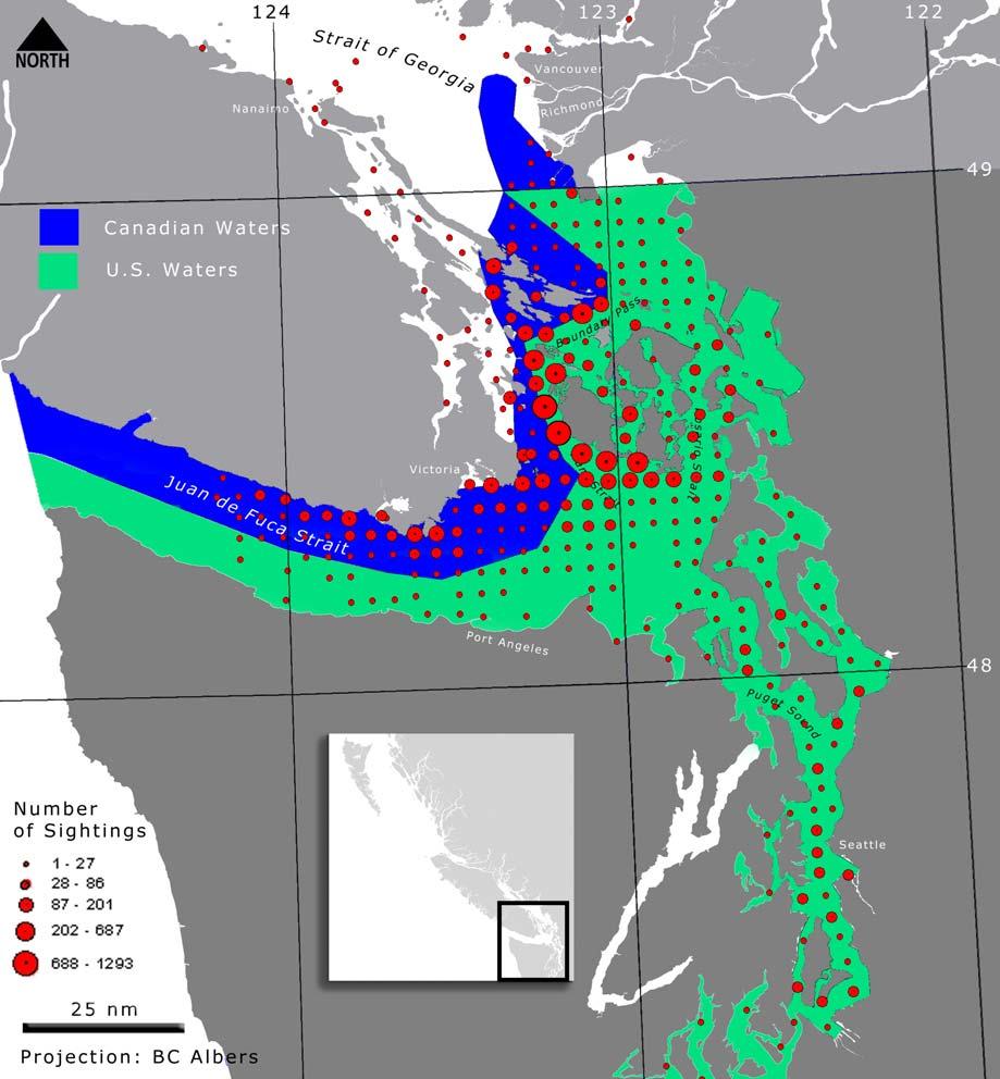 Figure 17. Distribution of southern resident killer whale sightings from the Whale Museum s (Friday Harbor, WA) Orca Master database for 1990-2003 (see Methods for details).
