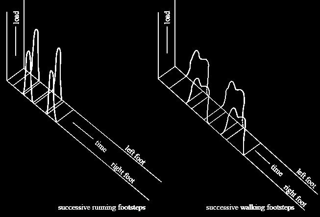 Walking, running or jumping each produce a different loading curve over time as well as frequencies in which the oscillations can occur.
