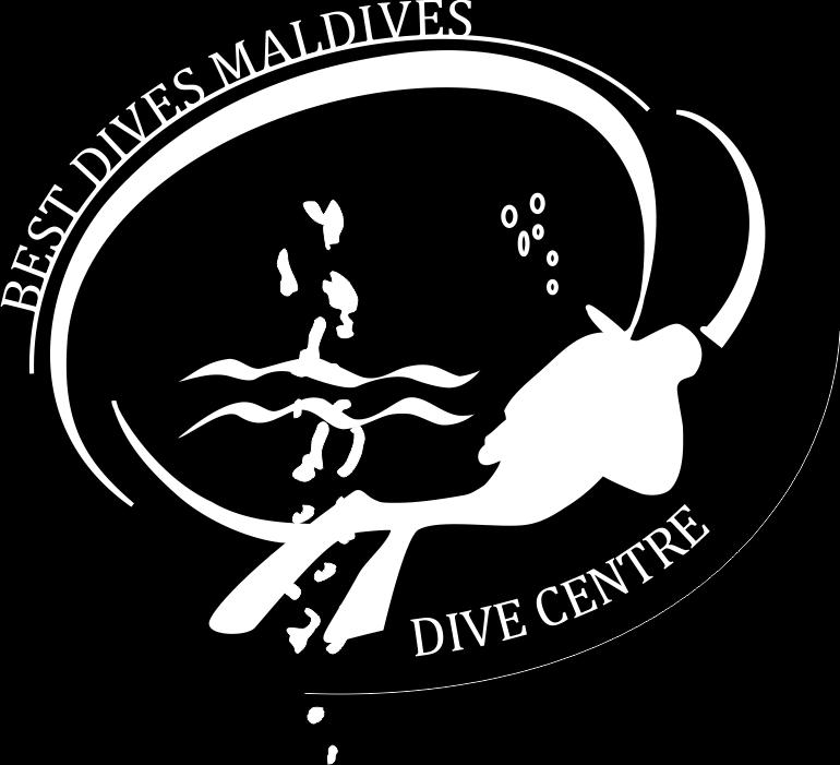 Our PADI & VDWS certified Best Dives Dive & Water Sports Center offers courses and expeditions to