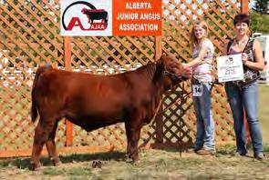She is also the 2014 Canadian National Junior Angus Show, Showdown, Grand Champion Female.