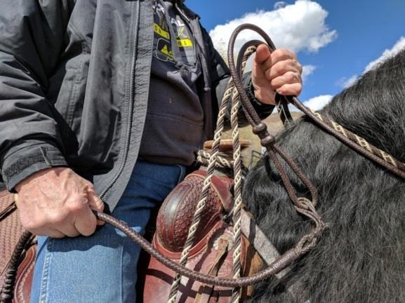 Reins: When the rider uses a snaffle bit, the following reins may be used: Loop/connected reins, split reins, buckled reins, mecate reins, or romal reins without a popper; two hands must be used with