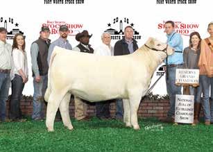 4 23 1.4 189.9 Built to win in the show ring and then make you money as a donor!