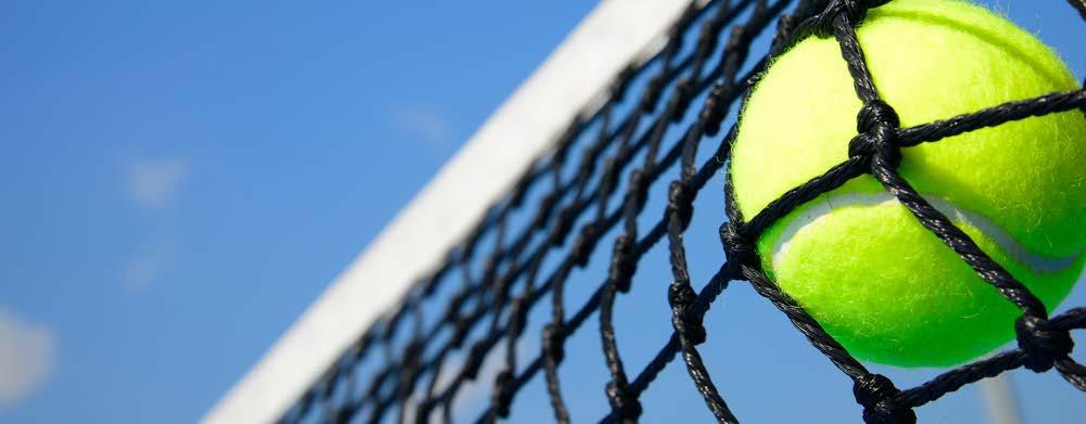 MUNICIPAL PRIORITIES AND ACTIONS This report section provides an overview and summary of the five G21 region LGAs and proposes an action plan and future recommendations for the development of tennis