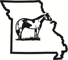 Missouri Paint Horse Club 2014 Year-End Award Selections For each high point or class award earned, the participant (horse/rider team) will be awarded credits that can be used to purchase year end