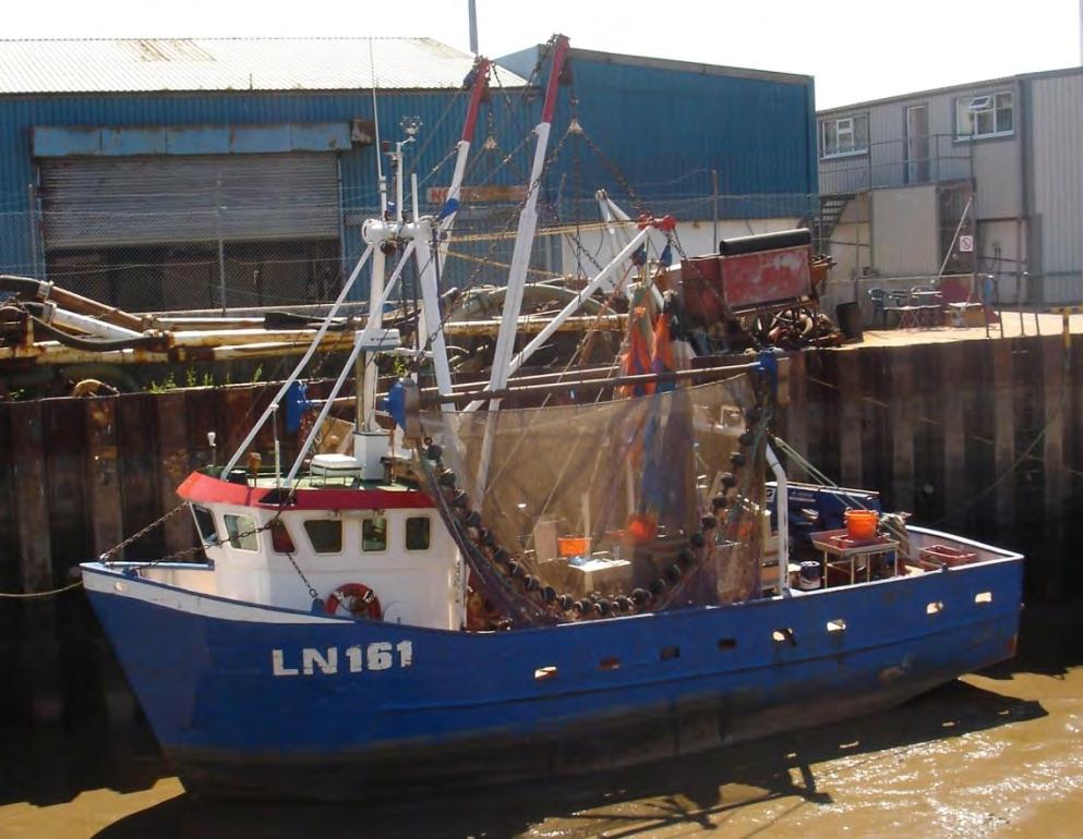 Lynn and Inner Dowsing: Shrimp Trawl Survey (Nov 2010) Length: 13.