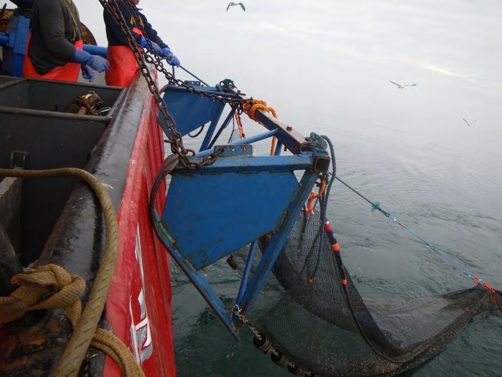 Lynn & Inner Dowsing: Beam Trawl Survey: Vessel and Gear Details Length: 21.2m Beam: 6.9m Draft: 2.