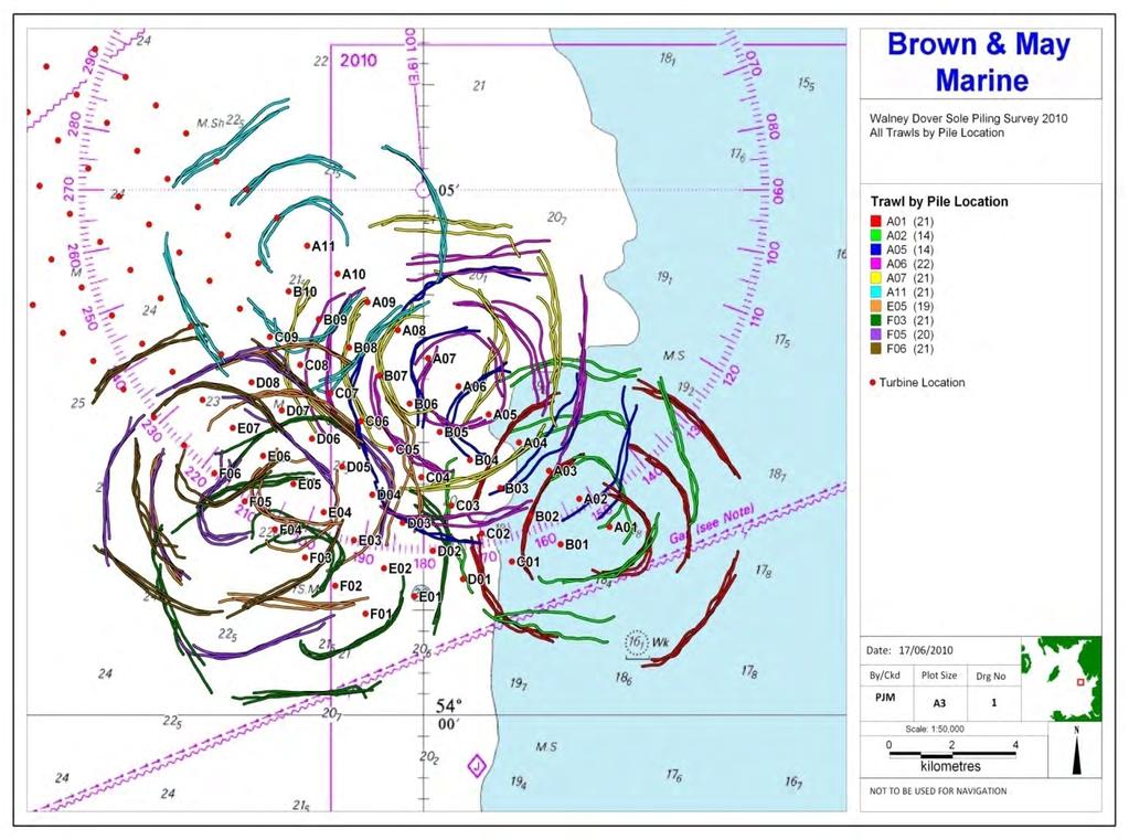 25 Beam Trawl Survey Tow Tracks for All Trawl Tows (Day & Night Combined) 9 th April -13 th May 2010 10 piling events 193 trawl tows trawls at 3 stages of