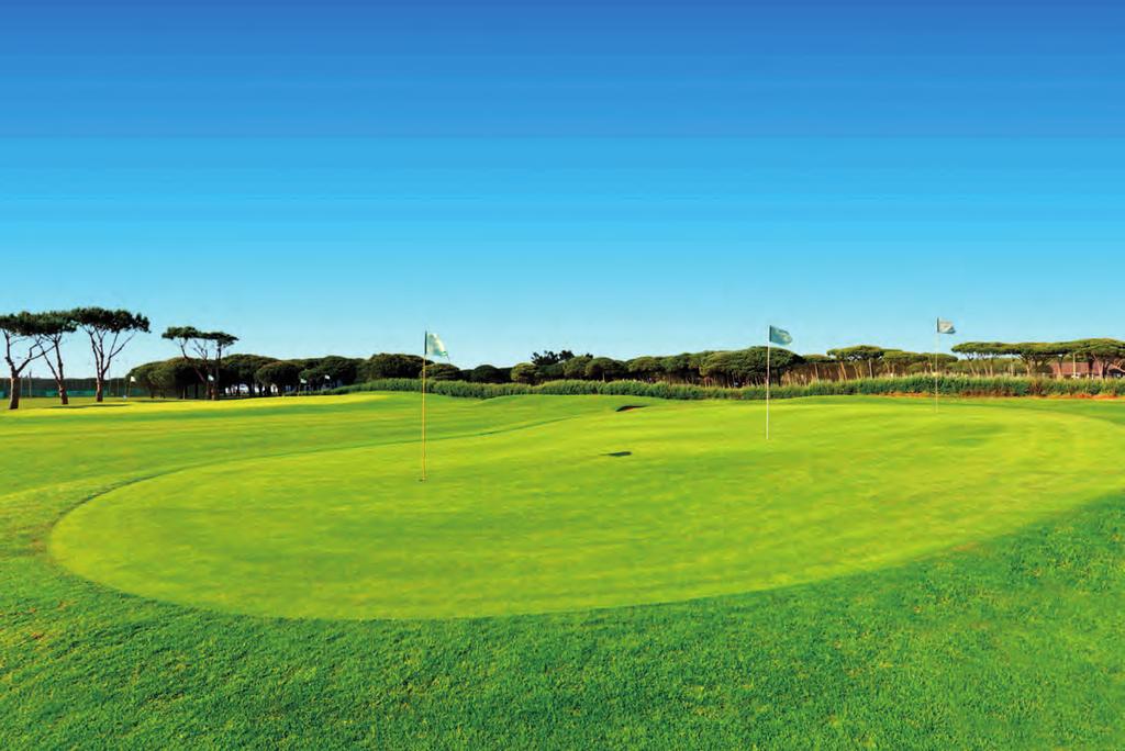 THE BEST AND MOST COMPREHENSIVE FACILITIES INTERNATIONALLYRENOWNED ACADEMY OF GOLF Spectacular location, surrounded by vegetation and some magnificent views over the ocean One of the best practice