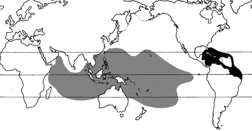 Tropic of Cancer Equator Tropic of Capricorn Figure 1-6. Coral reefs of the world.