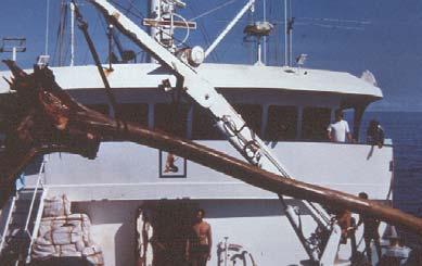 objects, similar to the logs pictured in Figure 13 (Watanabe 1983). Hampton and Bailey (1999) provide a detailed report on the fisheries associated with drifting objects in the WCPO.