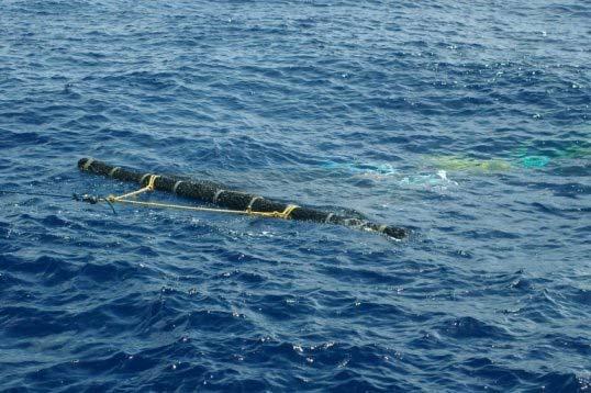 Another style of raft used by U.S. vessels is constructed from purse seine net, bamboo, chain, coconut leaves, PVC pipe and purse seine floats (Fukofuka pers. comm.).