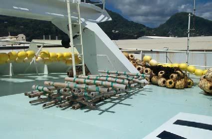 Figures 22 and 23 show bamboo construction rafts commonly used by EU purse seiners in the Indian Ocean.