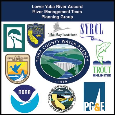 LOWER YUBA RIVER WATER TEMPERATURE OBJECTIVES Technical Memorandum November 2010