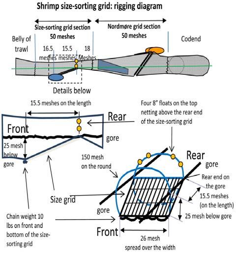 The bottom panel diagrams the small shrimp size sorting section of the grate at the top (dorsal) side of the net. Figure 2.