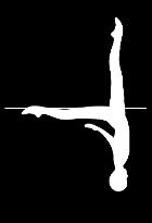 17 KNIGHT POSITION Lower back arched, with hips, shoulders and head on a vertical line. One leg vertical.
