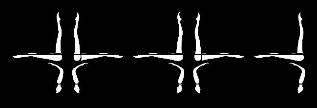 From a Back Layout Position a straight leg is lifted to a Ballet Leg Position. The shin of the horizontal leg is drawn along the surface to assume a Surface Flamingo Position.