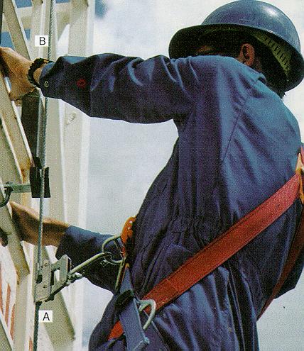 associated mounting brackets, and the carrier sleeve. The carrier is securely attached to the climbing ladder or to the immediately adjacent structure.