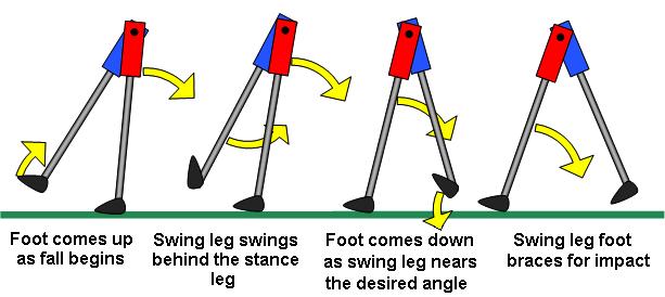catch method. The first action is triggered when the robot enters the falling mode. The foot torque for the swing leg is set to pull up the foot and hold it in the upwards position.